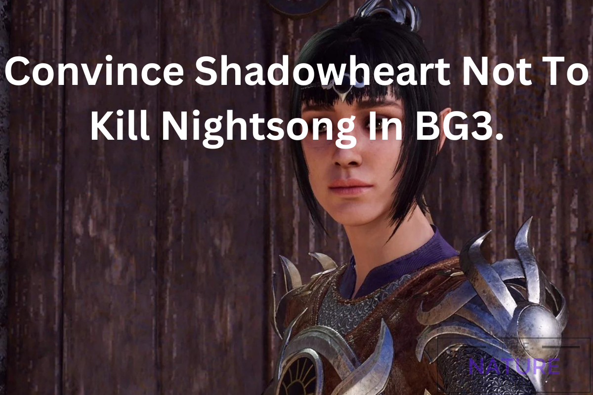 How To Convince Shadowheart Not To Defeat Nightsong In BG3 The   Convince Shadoweheart Not To Kill Nightsong  