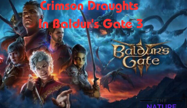 Crimson Draughts In Baldur's Gate 3