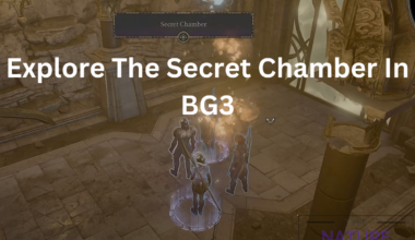 bg3 secret chamber