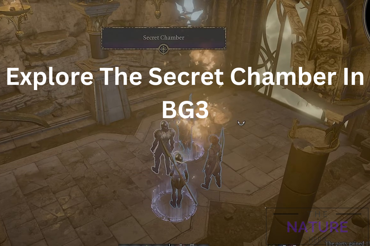 Explore The Secret Chamber In BG3 The Nature Hero   Explore The Secret Chamber In BG3 