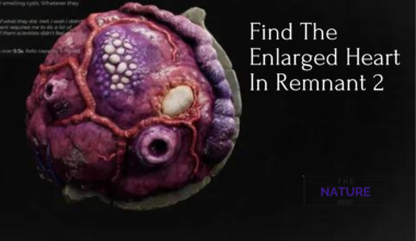 How Do You Find The Enlarged Heart In Remnant 2