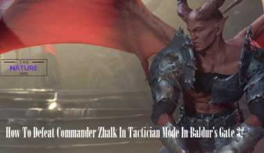 How To Defeat Commander Zhalk In Tactician Mode In Baldur's Gate 3?