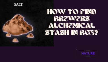 How To Find Brewers Alchemical Stash In BG3