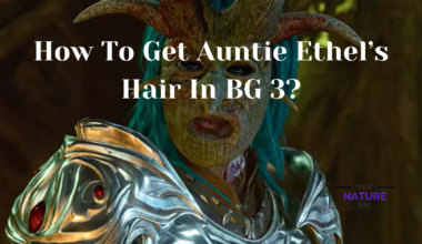 How To Get Auntie Ethel’s Hair In BG 3