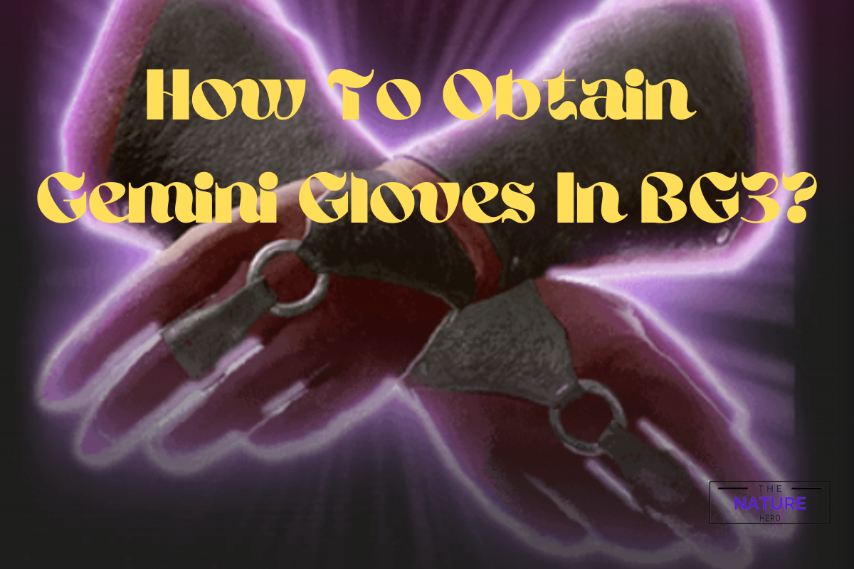 How To Obtain Gemini Gloves In BG3 The Nature Hero   How To Obtain Gemini Gloves In BG3 