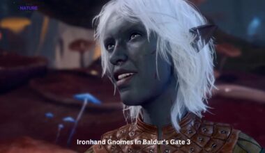Ironhand Gnomes In Baldur's Gate 3