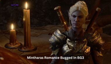 Mintharas Romance Bugged In BG3