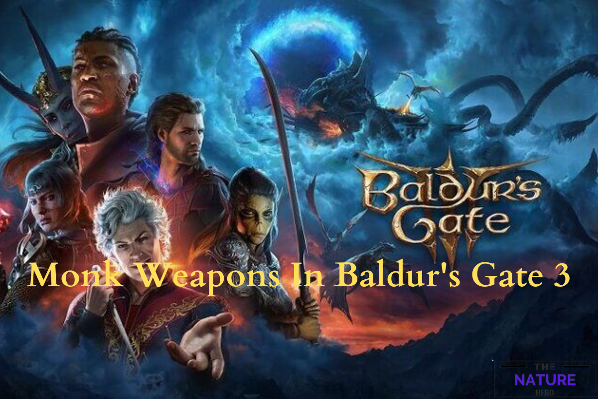 Explore The Monk Weapons In Baldur S Gate 3 The Nature Hero   Monk Weapons In Baldurs Gate 3 