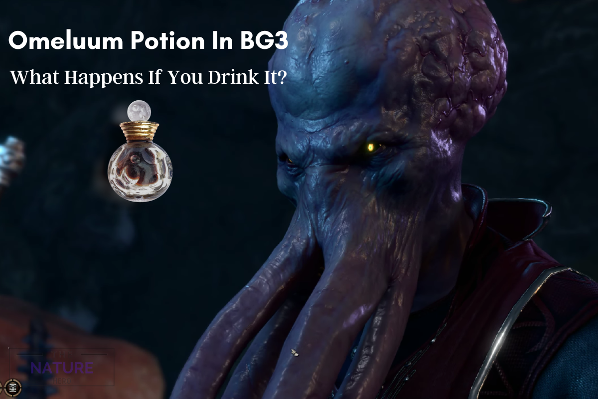 Omeluum Potion In BG3 What Happens If You Drink It The Nature Hero   Omeluum Potion In BG3 