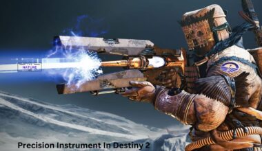 Precision Instrument In Destiny 2