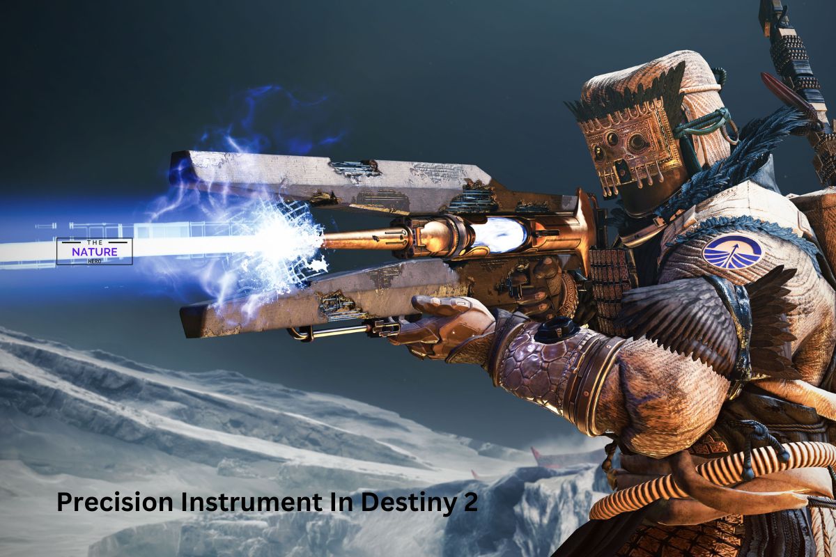 Precision Instrument Perk In Destiny 2: How To Use it? - The Nature Hero