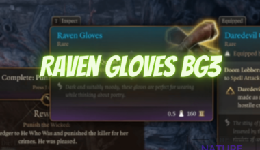 bg3 raven gloves