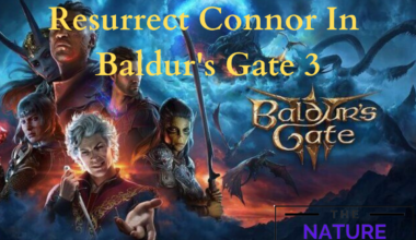 Resurrect Connor in bg3