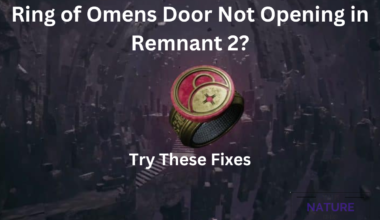 Ring of Omens Door Not Opening in Remnant 2