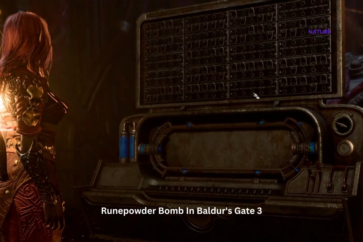 Where To Place The Runepowder Bomb In Baldur S Gate 3 The Nature Hero   Runepowder Bomb In Baldurs Gate 3 