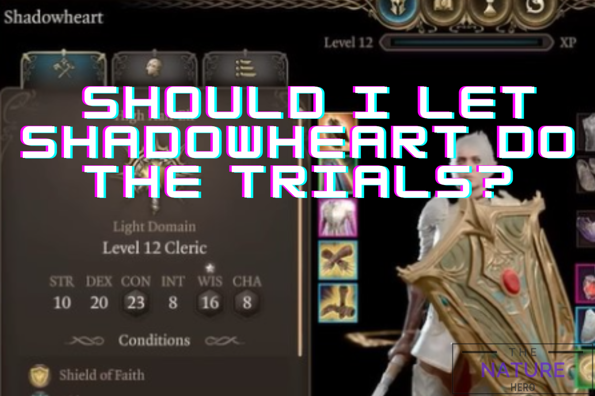 Should I Let Shadowheart Do The Trials The Nature Hero   Should I Let Shadowheart Do The Trials 