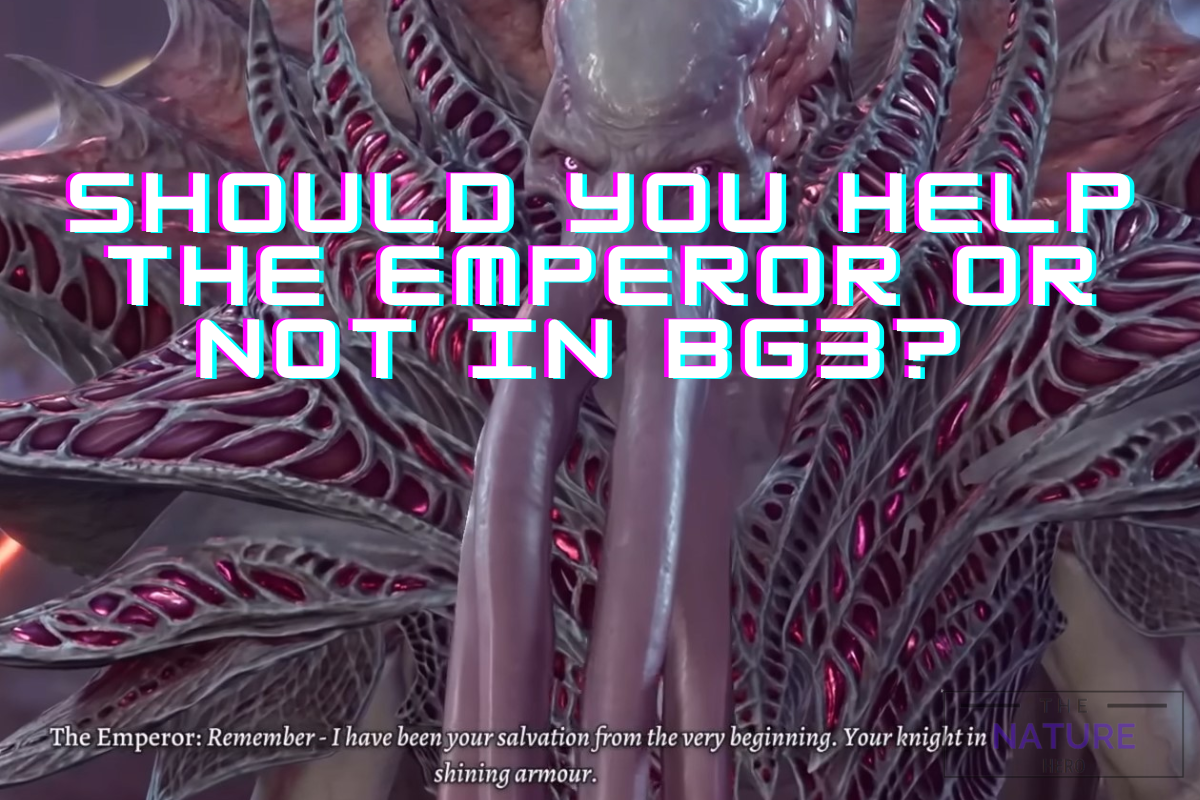 Should You Help The Emperor Or Not In Bg3 The Nature Hero   Should You Help The Emperor Or Not In Bg3 