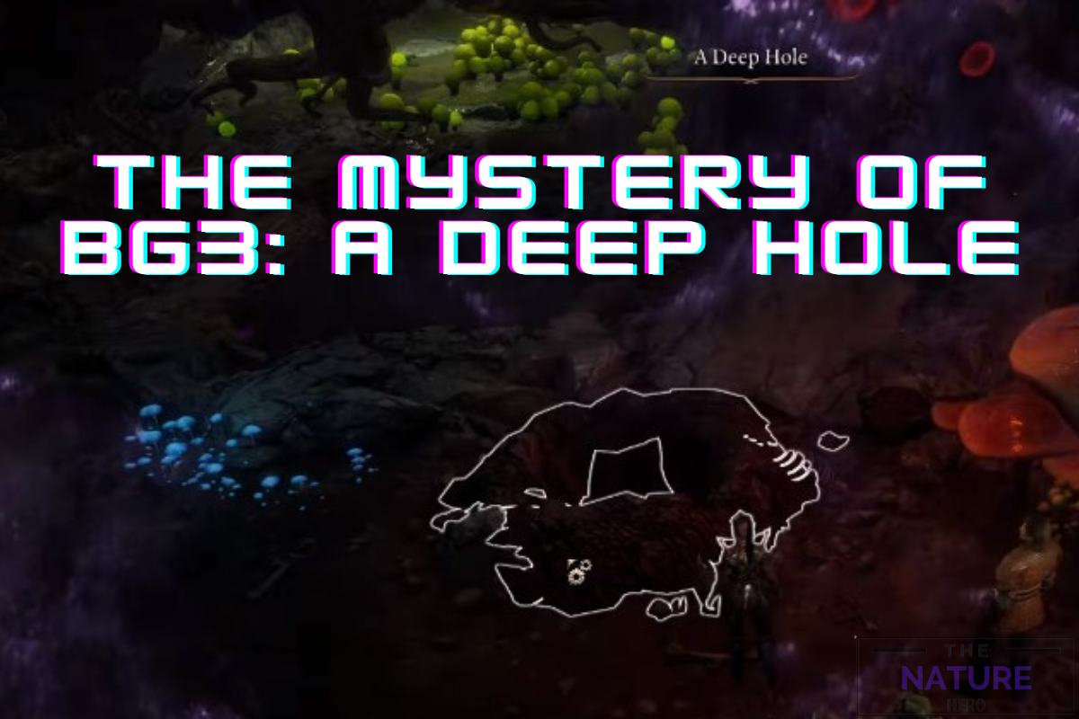 The Mystery Of BG3 A Deep Hole The Nature Hero   The Mystery Of Bg3 A Deep Hole 