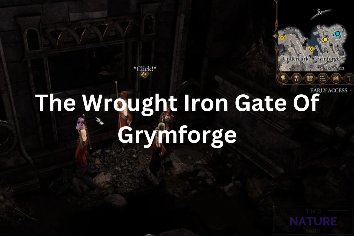 Explore The BG3 Wrought Iron Gate Of Grymforge The Nature Hero   The Wrought Iron Gate Of Grymforge 