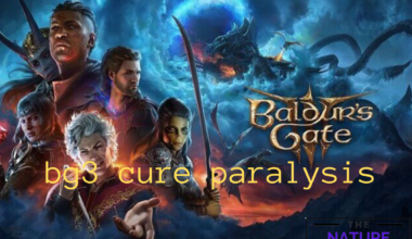 bg3 cure paralysis