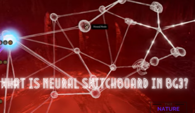 What Is Neural Switchboard In BG3?
