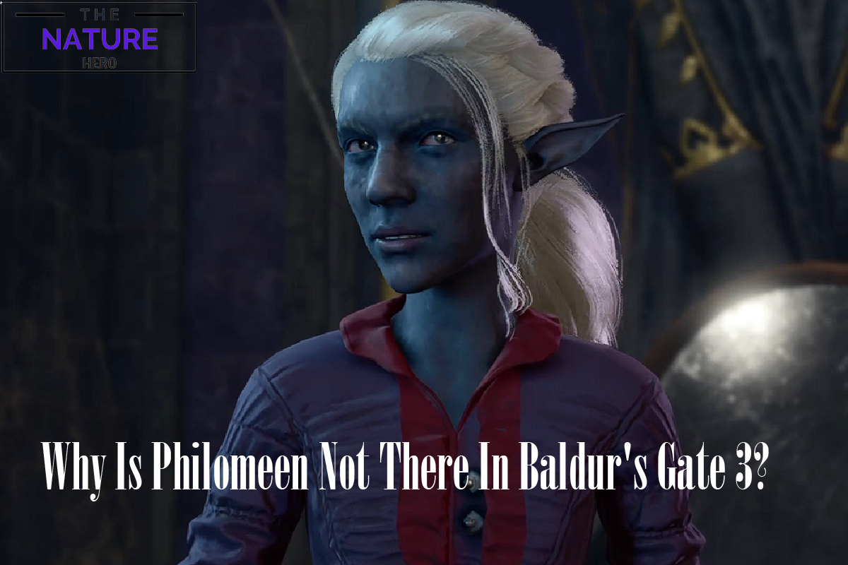 Why Is Philomeen Not There In Baldur S Gate 3 The Nature Hero   Why Is Philomeen Not There In Baldurs Gate 3 