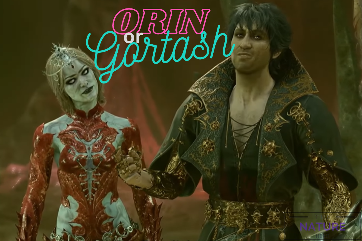 Orin Or Gortash: Whom Should You Side With In BG3? - The Nature Hero