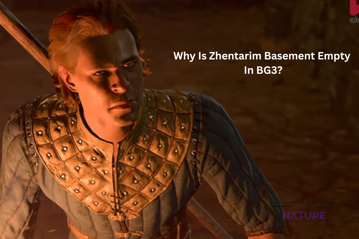 Why Is Zhentarim Basement Empty In BG3 The Nature Hero   Why Is Zhentarim Basement Empty In BG3 