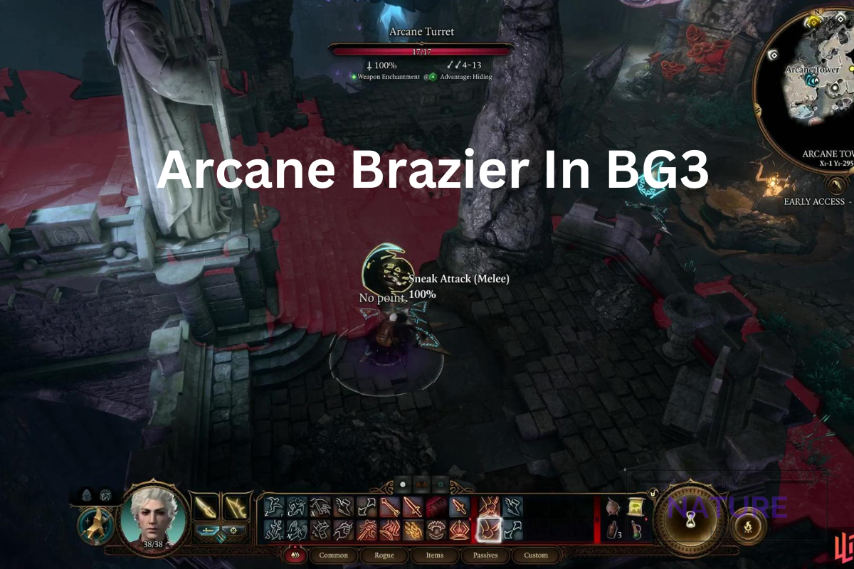 How To Find Arcane Brazier In BG3 The Nature Hero   Arcane 