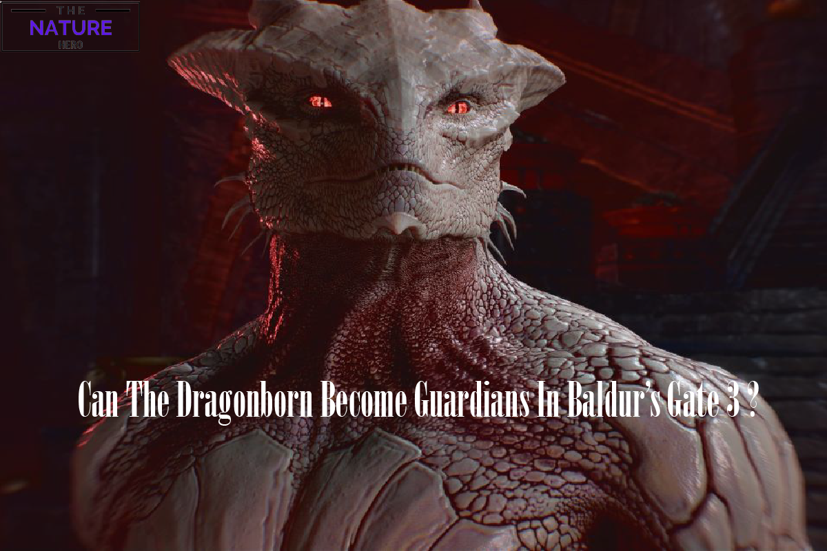 Explore The Guardian Dragonborn In Baldurs Gate 3 - The Nature Hero