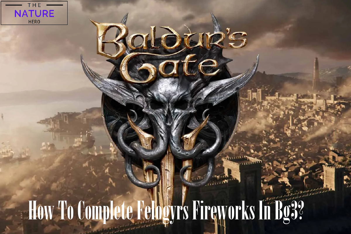 Felogyrs Fireworks In BG3 How To Complete It The Nature Hero   Firewqorks 