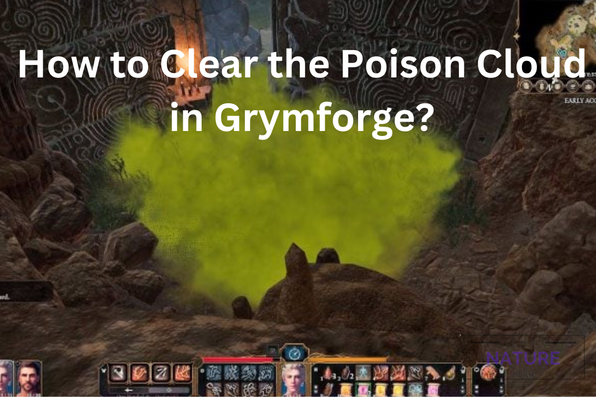 How To Clear The Poison Cloud In Grymforge In BG3? - The Nature Hero