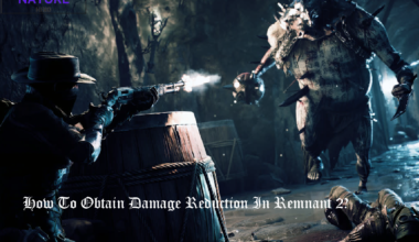 Remnant 2 damage reduction