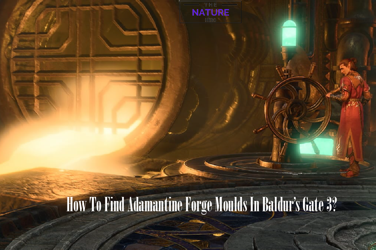 How To Find Adamantine Forge Moulds In BG3 The Nature Hero   Howtoobtainmouldsinbg3 