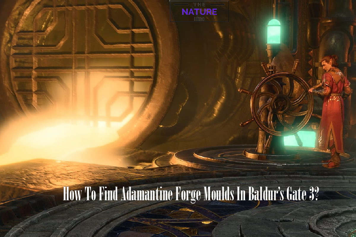 How To Find Adamantine Forge Moulds In BG3 The Nature Hero