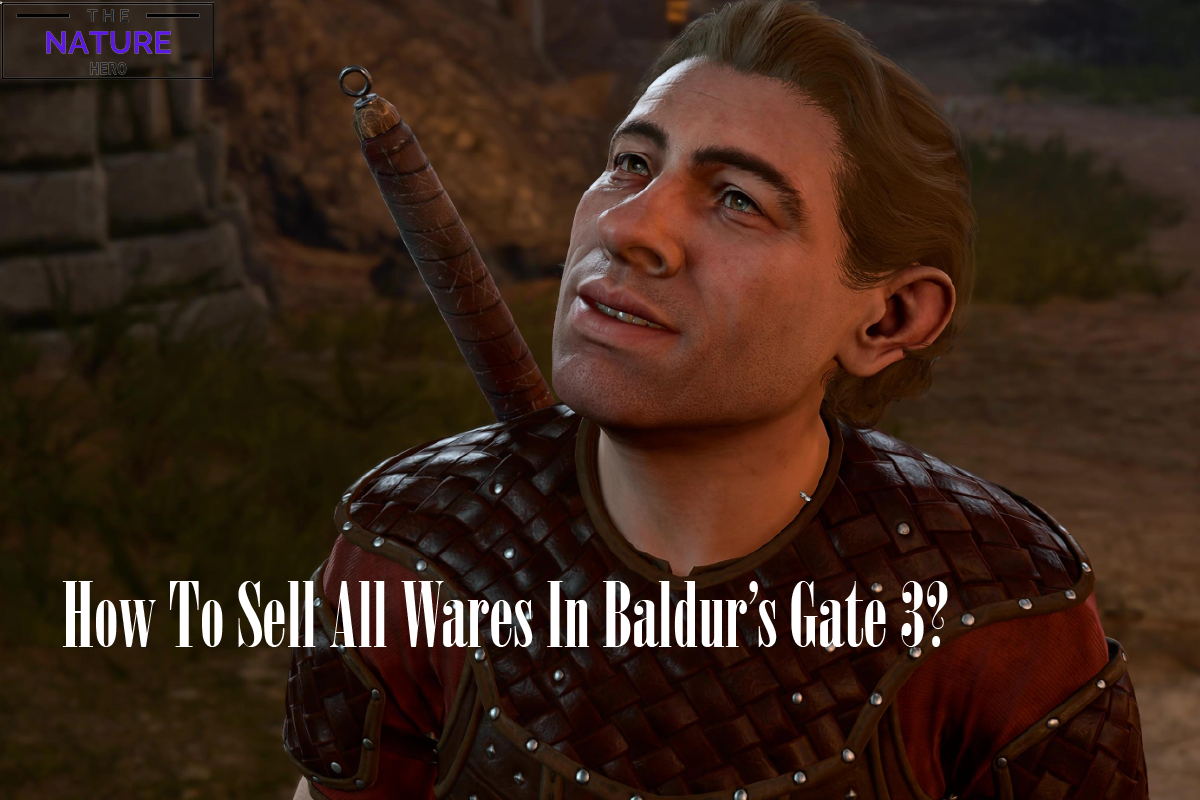 how-to-sell-all-wares-in-baldurs-gate-3-the-nature-hero