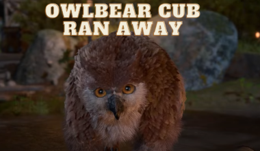 owlbear Cub Ran Away