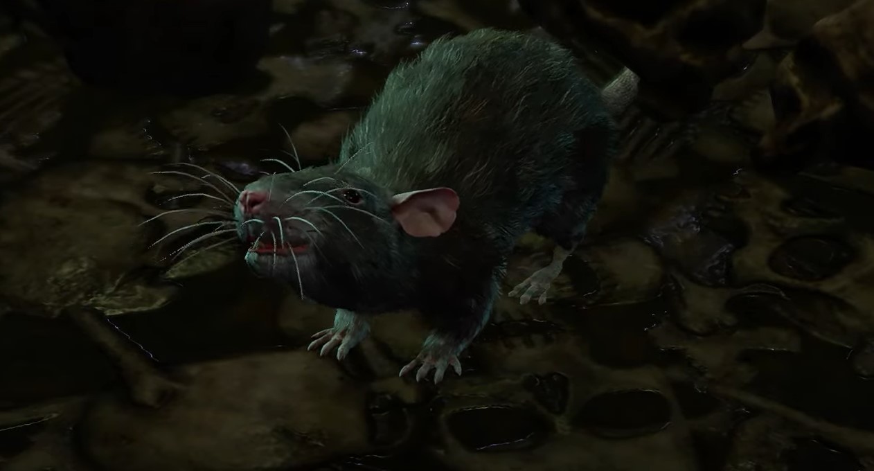 rat that turns into lyrthindor