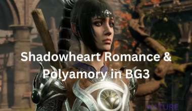 shadowheart poly in bg3