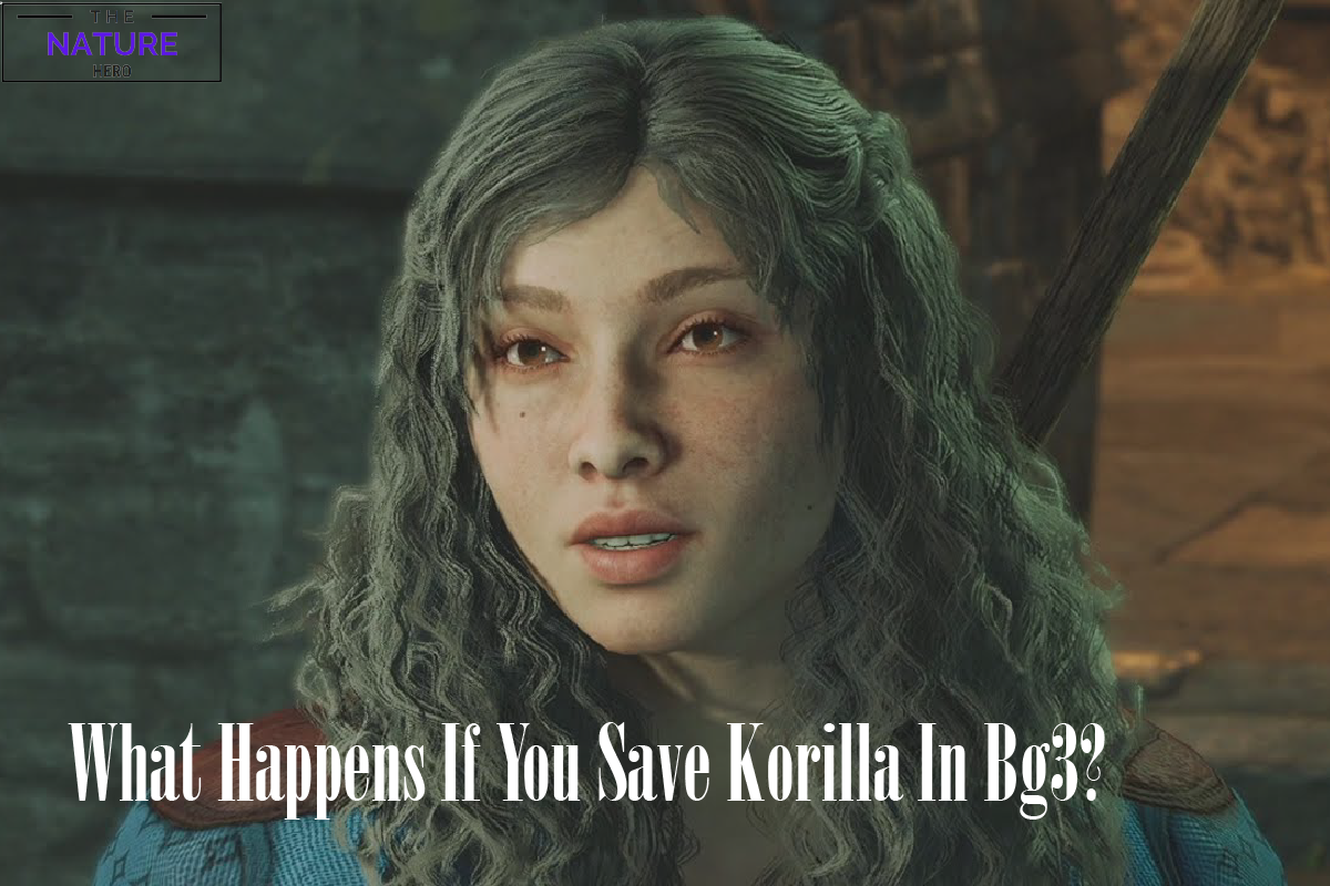 Should You Save Korilla In BG3 The Nature Hero   Whathappensifyousavekorillainbg3 