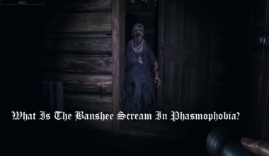 Banshee Scream In Phasmophobia