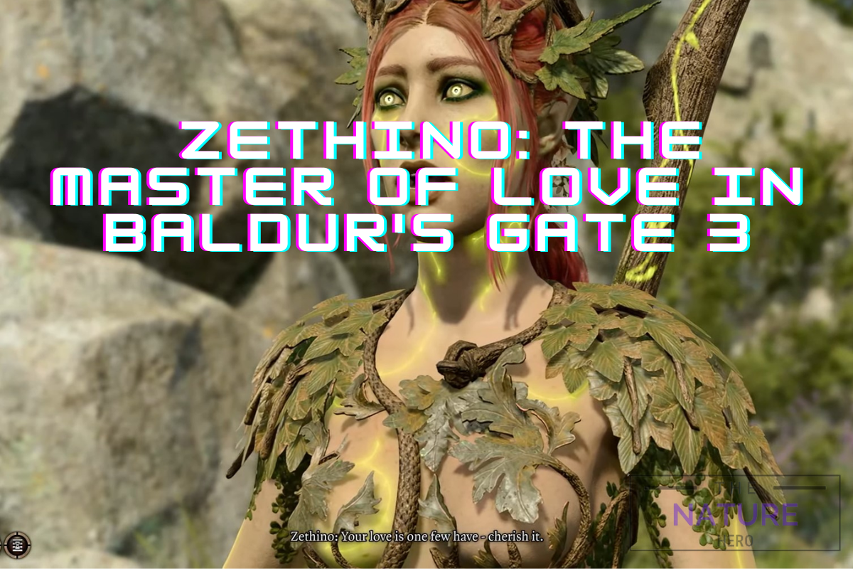 All Correct Answers to Zethino Love Test Questions in Baldur's