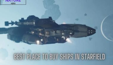 Best Place To Buy Ships In Starfield