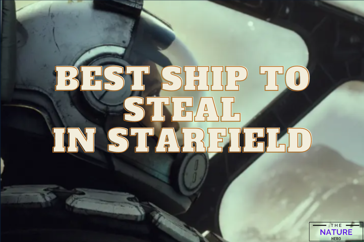 Best Ships To Steal In Starfield - The Nature Hero