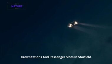 Crew Stations And Passenger Slots In Starfield