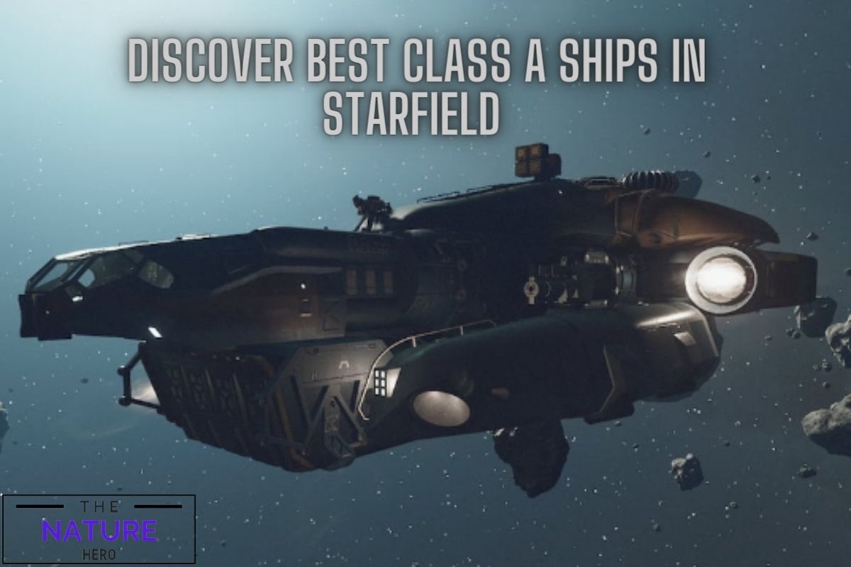 Discover Best Class A Ships In Starfield The Nature Hero   Discover Best Class A Ships In Starfield  