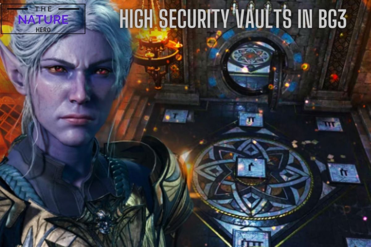 Discover The High Security Vaults In BG3 The Nature Hero   High Security Vaults In BG3 