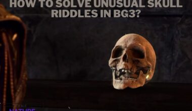 How To Solve Unusual Skull Riddles In Bg3