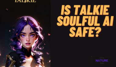 Is Talkie Soulful AI safe