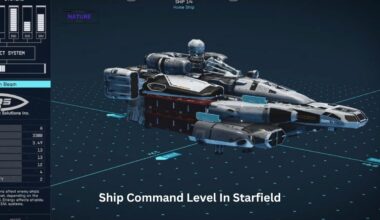 starfield ship command level